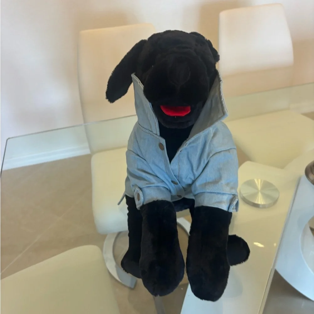 Denim Dog Jacket - Daddy's Princess 👑